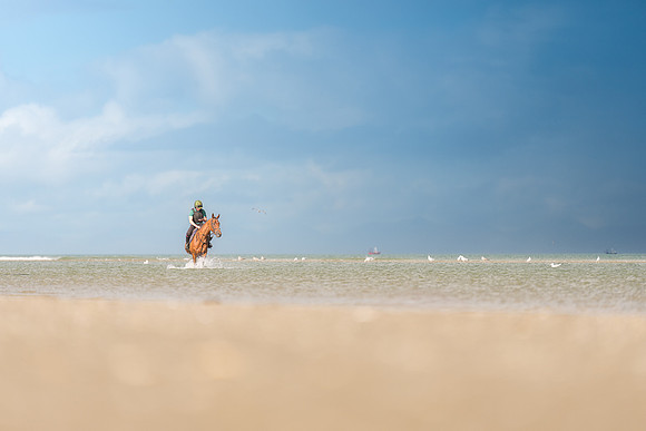 BON-Laytown-Races-beach- - Sept 2025 - 3:2