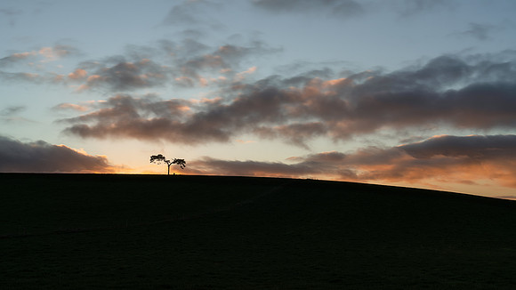 BON-Fairy-Tree-Knockbridge  - Dec 2022 - 16:9