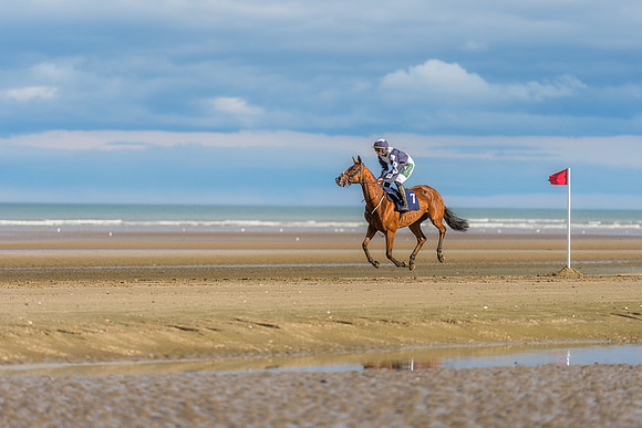 BON-Laytown-Races-beach-horse  - Sep 2026 - 3:2