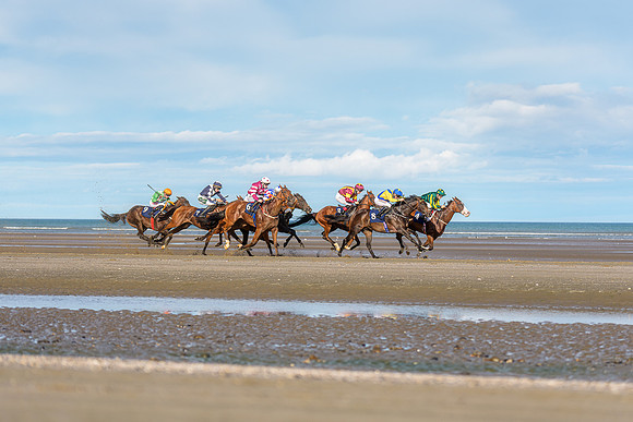 BON-Laytown-Races-beach-horse  - Sep 2026 - 3:2