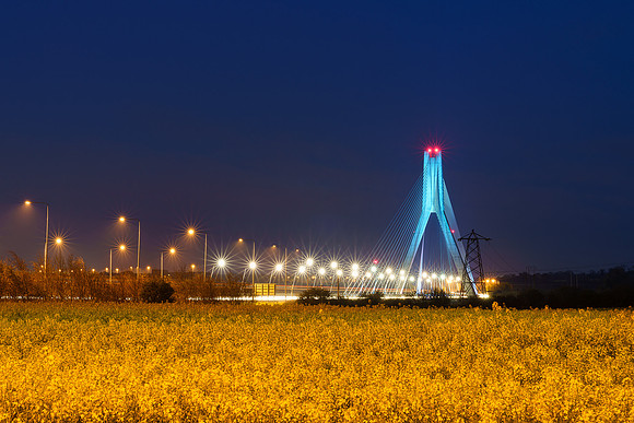 BON-Drogheda-Mary-McAleese-Boyne-Valley-Cable-Bridge-Nightshot-rapeseed-field -  April 2022 - 3:2