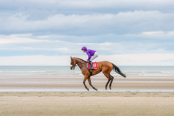 BON-Laytown-Races-beach-horse  - Sep 2026 - 3:2