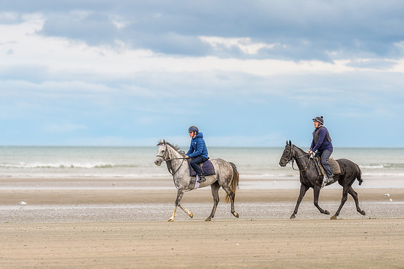 BON-Laytown-Races-beach-horse  - Sep 2026 - 3:2