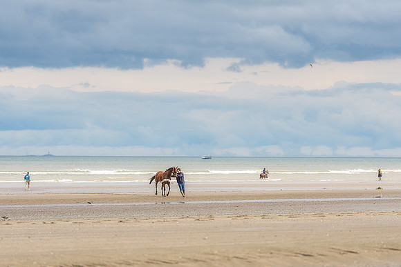 BON-Laytown-Races-beach-horse  - Sep 2026 - 3:2
