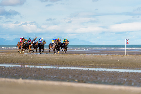 BON-Laytown-Races-beach-horse  - Sep 2026 - 3:2