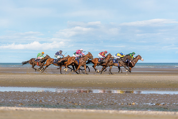BON-Laytown-Races-beach-horse  - Sep 2026 - 3:2