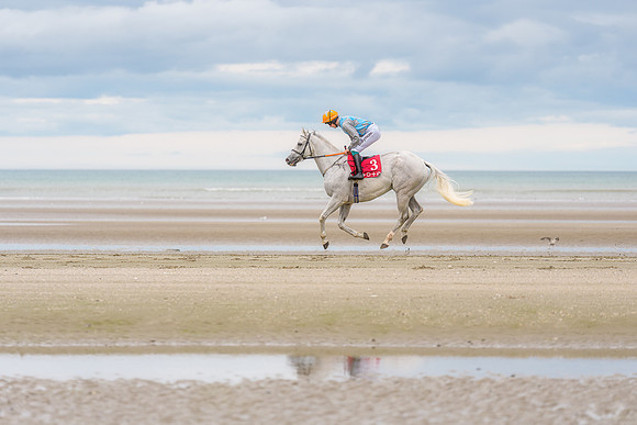 BON-Laytown-Races-beach-horse  - Sep 2026 - 3:2