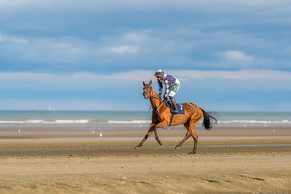 BON-Laytown-Races-beach-horse  - Sep 2026 - 3:2