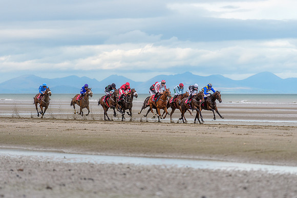 BON-Laytown-Races-beach-horse  - Sep 2026 - 3:2