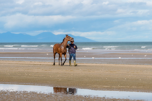 BON-Laytown-Races-beach-horse  - Sep 2026 - 3:2