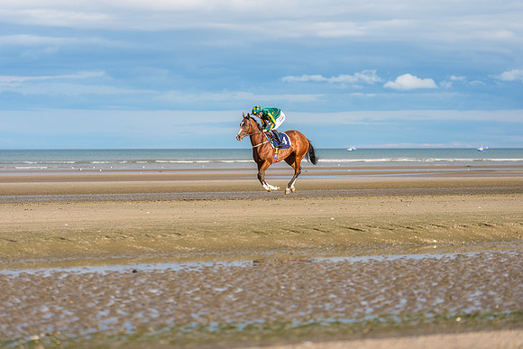 BON-Laytown-Races-beach-horse  - Sep 2026 - 3:2