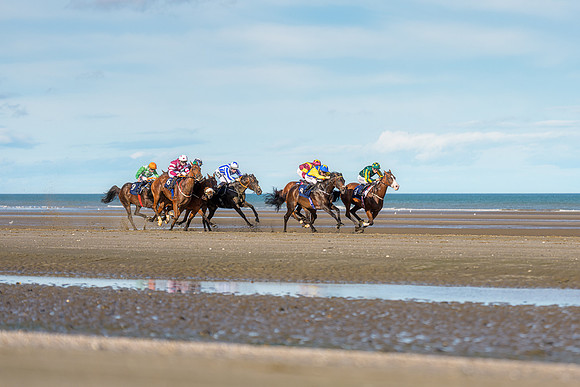 BON-Laytown-Races-beach-horse  - Sep 2026 - 3:2