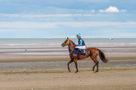 BON-Laytown-Races-beach-horse  - Sep 2026 - 3:2