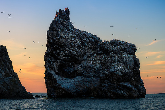 BON-Irelands-Eye-Howth-Head-Sea-Birds-Sunset - July 2022 - 2:3
